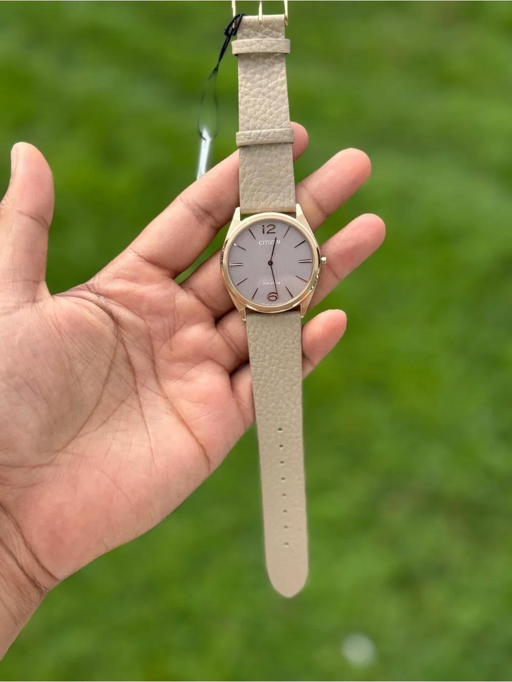 Citizen Men's Taupe Dial thinnest Watch with Gold-Tone eco drive leather watch